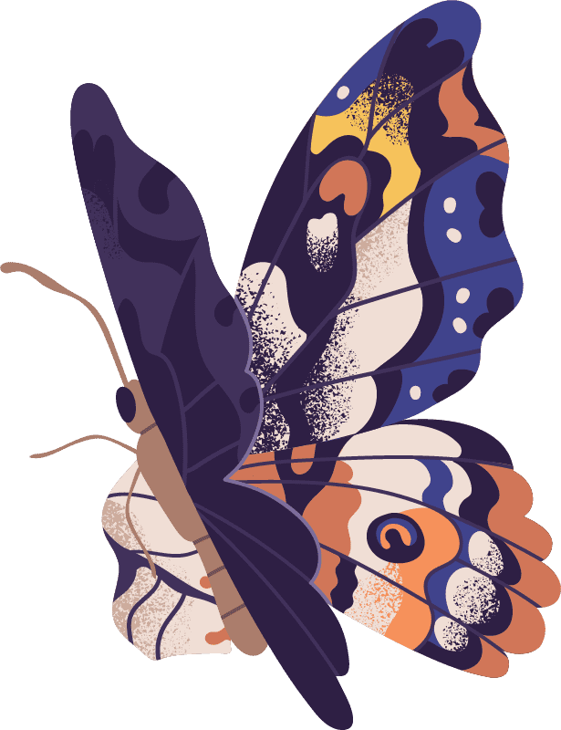 tbc-butterfly