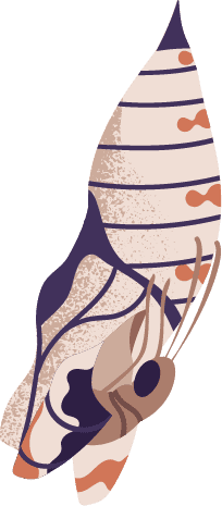 tbc-chrysalis-2